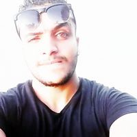 Amr Gamal Abd Elmotaleb