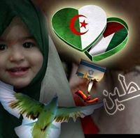 ايلياء فلسطين