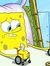 Sponge ...