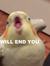 Birdy