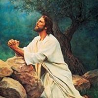 Mìçhàèĺ MÍńą