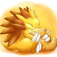 พรภัทร สามารถเลิศดี