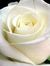 Sathiya...