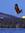 Siduri Moonshine (goodreadscomsidurimoonshine) | 3 comments