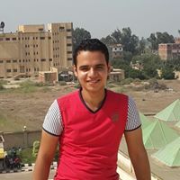 Mostafa Eldosokey