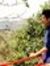 Arpit G...