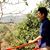Arpit Gupta