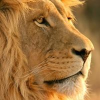 Vallemsetty Venkatesh