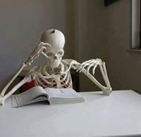 অনুপ্রাশ আবীর