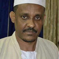 حامد محمد علي