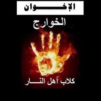 أبوعمرو المصرى