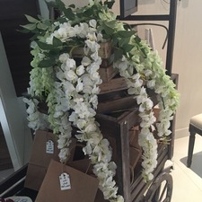 طموح الياقوت