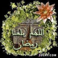 Shams Mohammed
