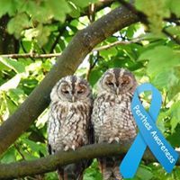 Cressida Coxeter-Smith