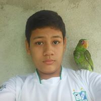 Alejandro L. Martinez