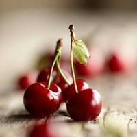 وردة الياسمين