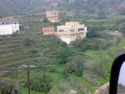 طلووو العياسي