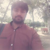 Amir Bashir