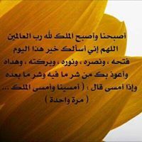 ممدوح رجب باشا