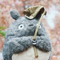 Praewstar Choi