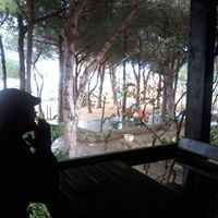 الشاعر محجوب