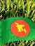 আশিক পা...