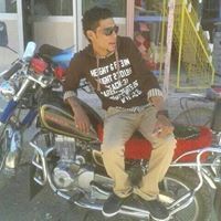 الشاعر السني