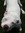 ♦Ashley♦ | 272 comments