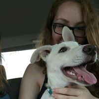 Morgan Van Caeyzeele