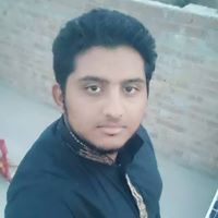 اسامة الحجازي