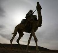 احمد العاصي