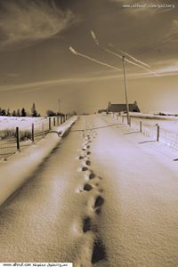 اميه مورتاني