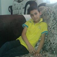 الشاعر ربيع
