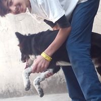 Jaspreet Singh