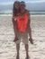 Maddie ...