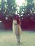 Iqra Aijaz