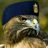 Rafea Abo Mazen