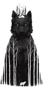 Илья Сидякин