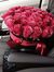 Noor THeab
