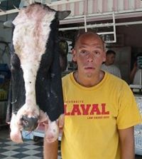 AleSkander Ben Demos