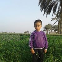 صابر الانصارى