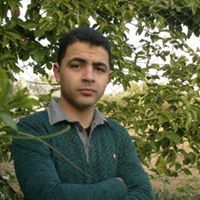 محمود شاهين