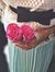 Aishha DH