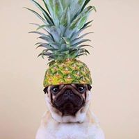 Լամարա Աֆրիկյան