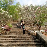 Của Cua