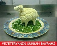 Deniz H