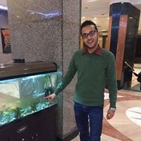 Amr Mohamed