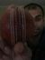 Nafiz I...