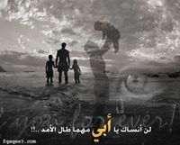 Shaema M. Ali