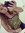 Brooke
